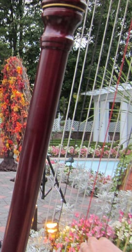 Gallery photo 1 of Joan Steinberg Harpist