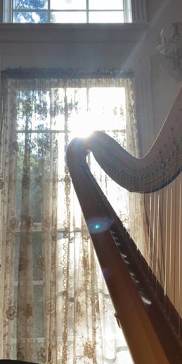 Gallery photo 5 of Joanna Rose - Harpist/Pianist/Vocalist