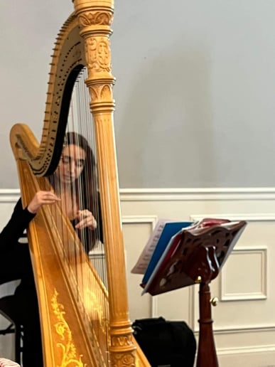 Gallery photo 6 of Joanna Rose - Harpist/Pianist/Vocalist