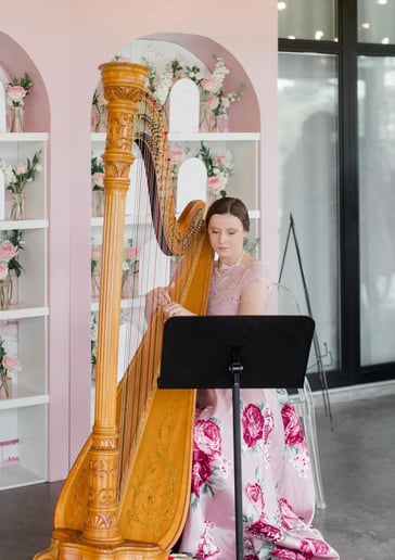 Gallery photo 5 of Joanna Seiber