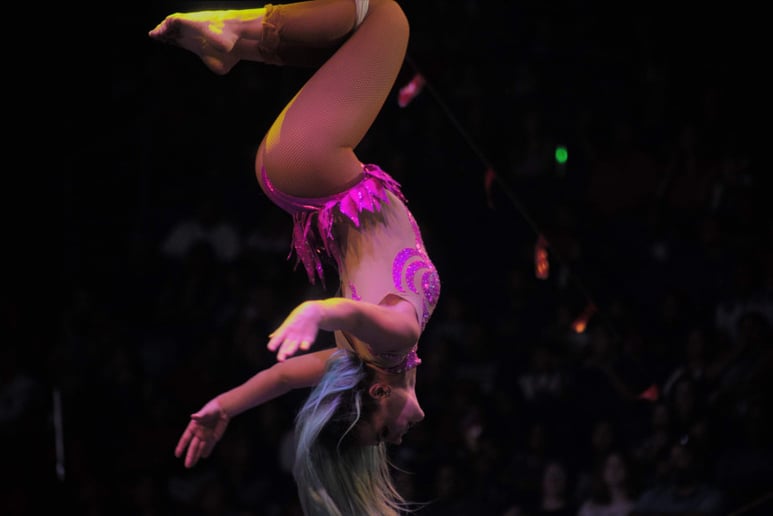 Gallery photo 5 of Joanne