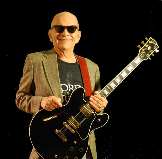Gallery photo 3 of Joe The Guitarman