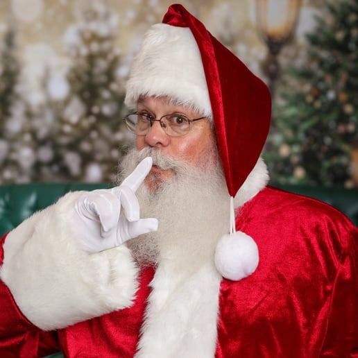 Gallery photo 1 of Jolly Old Elf