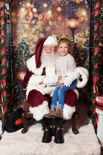 Gallery photo 9 of Jolly Ole Elf