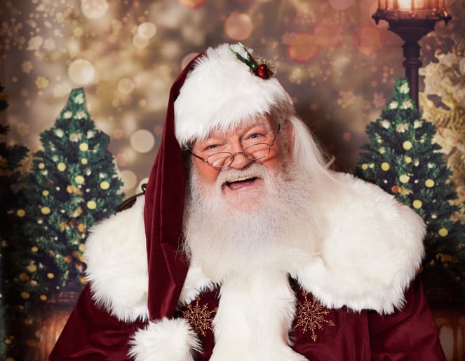 Gallery photo 12 of Jolly Ole Elf