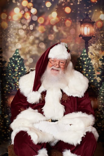 Gallery photo 13 of Jolly Ole Elf