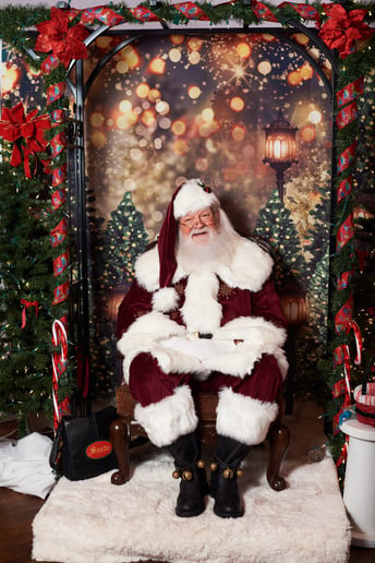Gallery photo 14 of Jolly Ole Elf