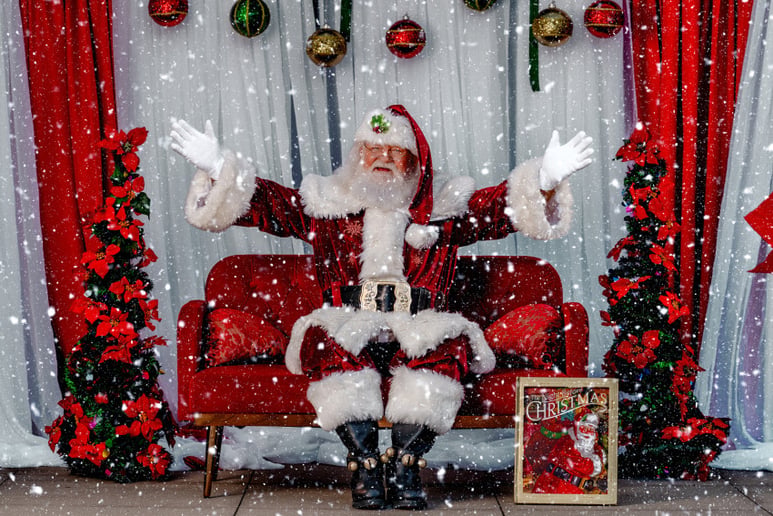 Gallery photo 17 of Jolly Ole Elf