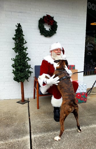 Gallery photo 3 of Jolly Ole Santa