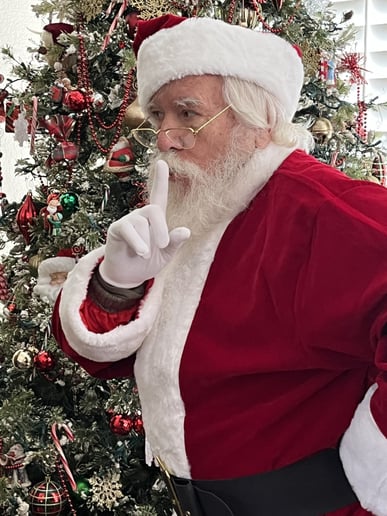 Gallery photo 5 of Jolly Santa