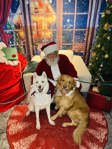 Gallery photo 2 of Jolly Santa