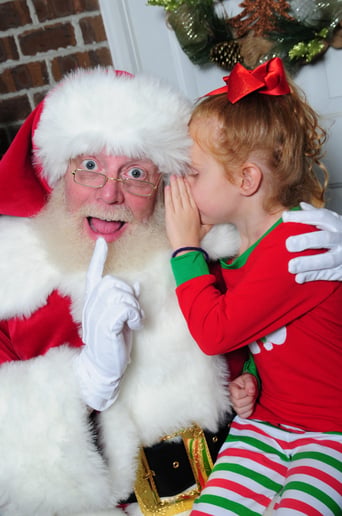 Gallery photo 13 of Jolly Santa Tim