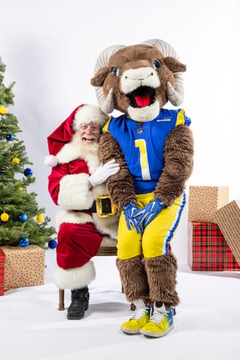 Gallery photo 4 of Jolly Santa Tim