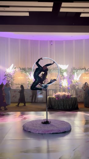 Gallery photo 1 of Jordan Ashley - Aerialist