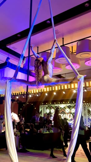 Gallery photo 3 of Jordan Ashley - Aerialist