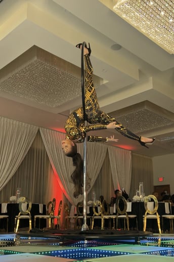 Gallery photo 4 of Jordan Ashley - Aerialist