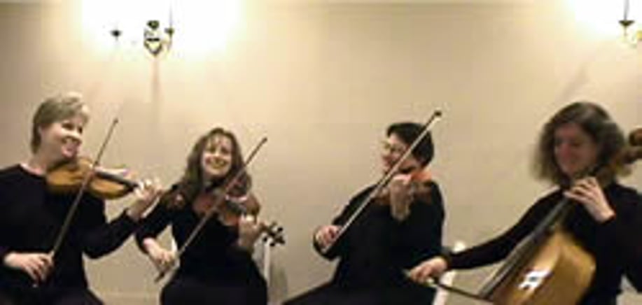 Gallery photo 6 of Josie Quick-All Purpose Violinist