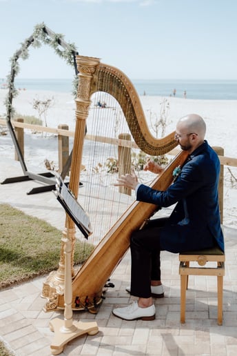 Gallery photo 2 of Josh Haudenschield, Harpist