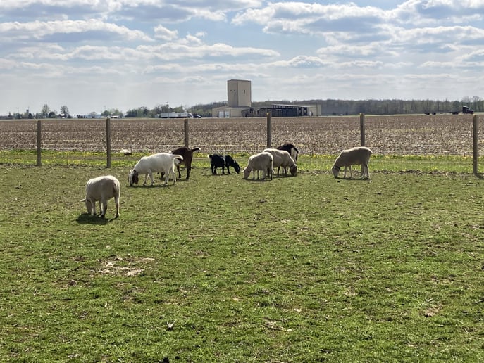 Gallery photo 19 of Joy Journey Farms