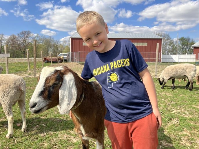 Gallery photo 20 of Joy Journey Farms