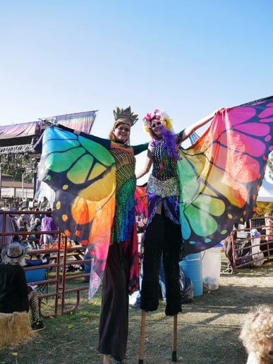 Gallery photo 8 of Joyus Magical Creations