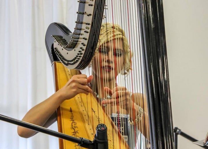 Gallery photo 3 of Julie ni Hewkin, Harpist and Vocalist