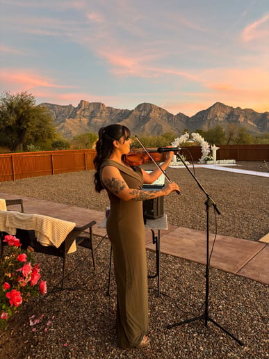 Gallery photo 1 of Julissa Violin