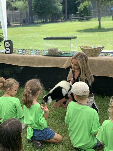 Gallery photo 3 of Jungle Events Birthday Parties