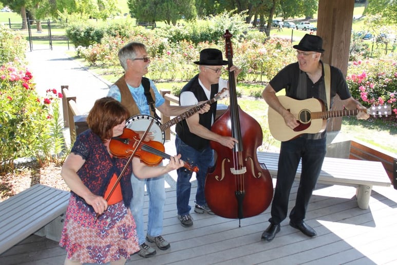 Gallery photo 7 of Just Plain Folk