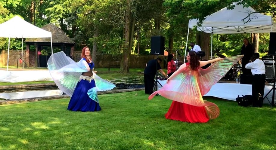 Gallery photo 6 of K-Star Bellydance