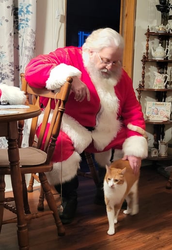 Gallery photo 3 of K. Kringle aka Santa Kevin