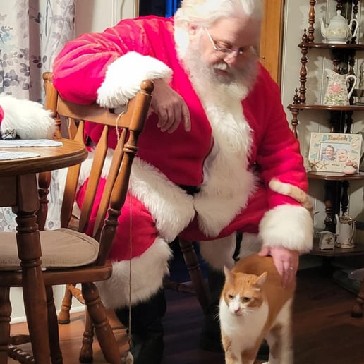 Gallery photo 4 of K. Kringle aka Santa Kevin