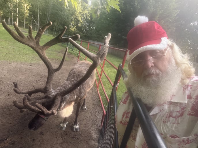 Gallery photo 6 of Santa Kevin