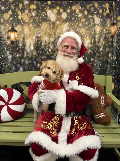 Gallery photo 16 of K. Kringle Santa Clause