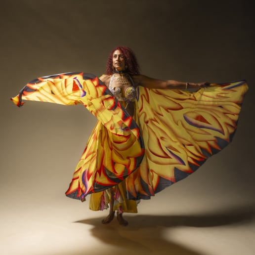Gallery photo 2 of Kadisha Belly Dancer