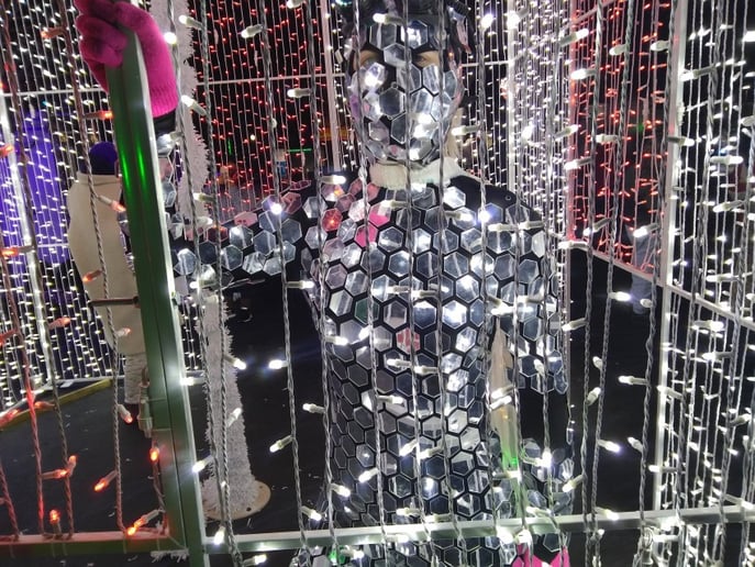 Gallery photo 10 of The Human Disco Ball
