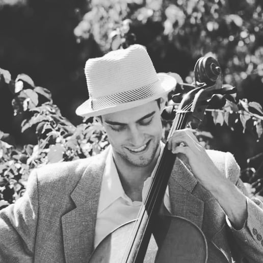 Gallery photo 3 of Kaijo Strings