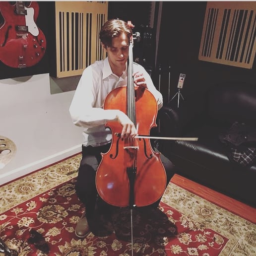 Gallery photo 6 of Kaijo Strings