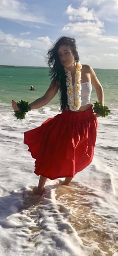 Gallery photo 8 of Kamaile Kailua
