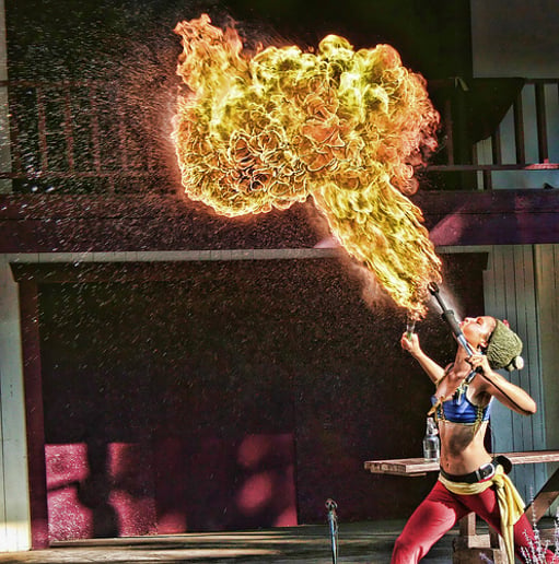 Gallery photo 6 of Kamikaze Fireflies