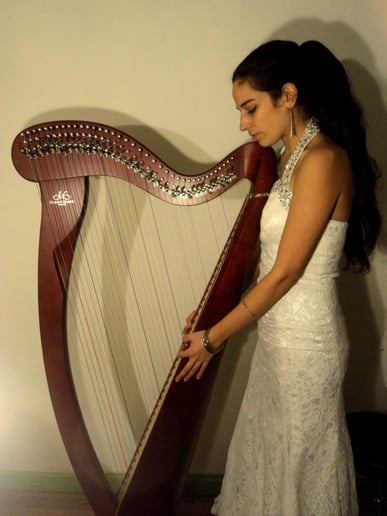 Gallery photo 1 of Kamila Harpist