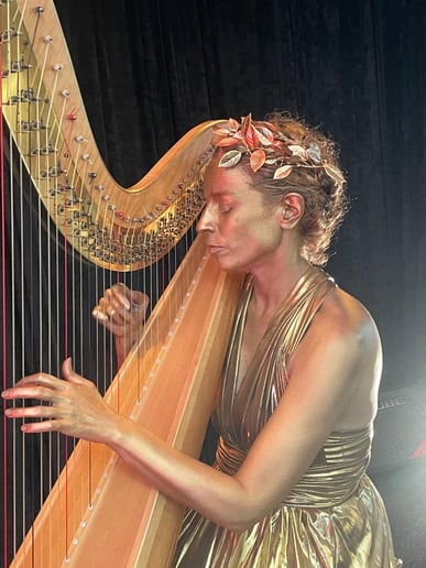 Gallery photo 2 of Kamila Harpist