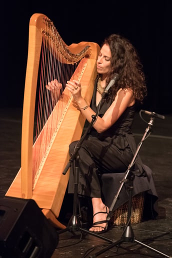 Gallery photo 3 of Kamila Harpist
