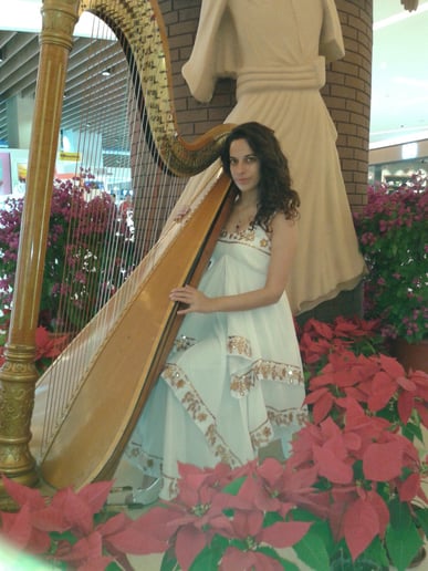 Gallery photo 4 of Kamila Harpist