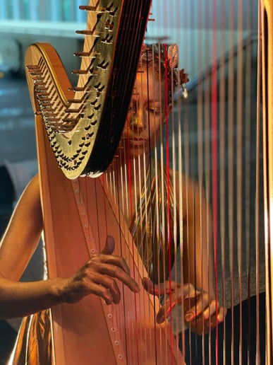 Gallery photo 5 of Kamila Harpist
