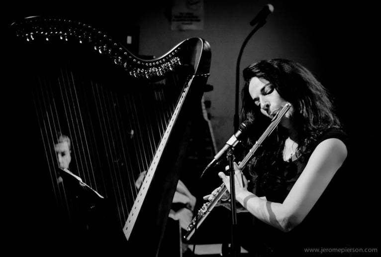 Gallery photo 8 of Kamila Harpist