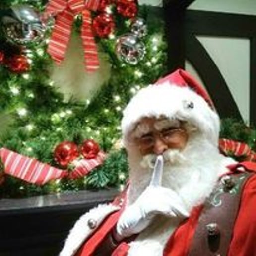 Gallery photo 8 of Karel King - Singing Santa Claus
