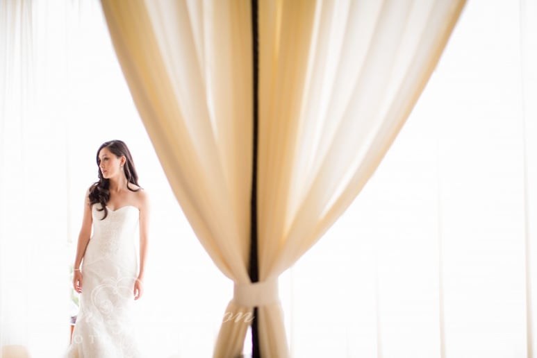 Gallery photo 3 of Karen Loudon Photography
