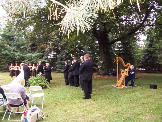 Gallery photo 4 of Karen Svanoe Westgate, Harpist