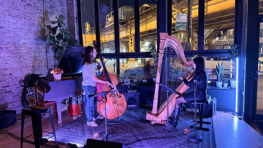 Gallery photo 5 of Kari Novilla - Harpist
